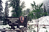 Yellowstone National Park, Photo Nr.: y087