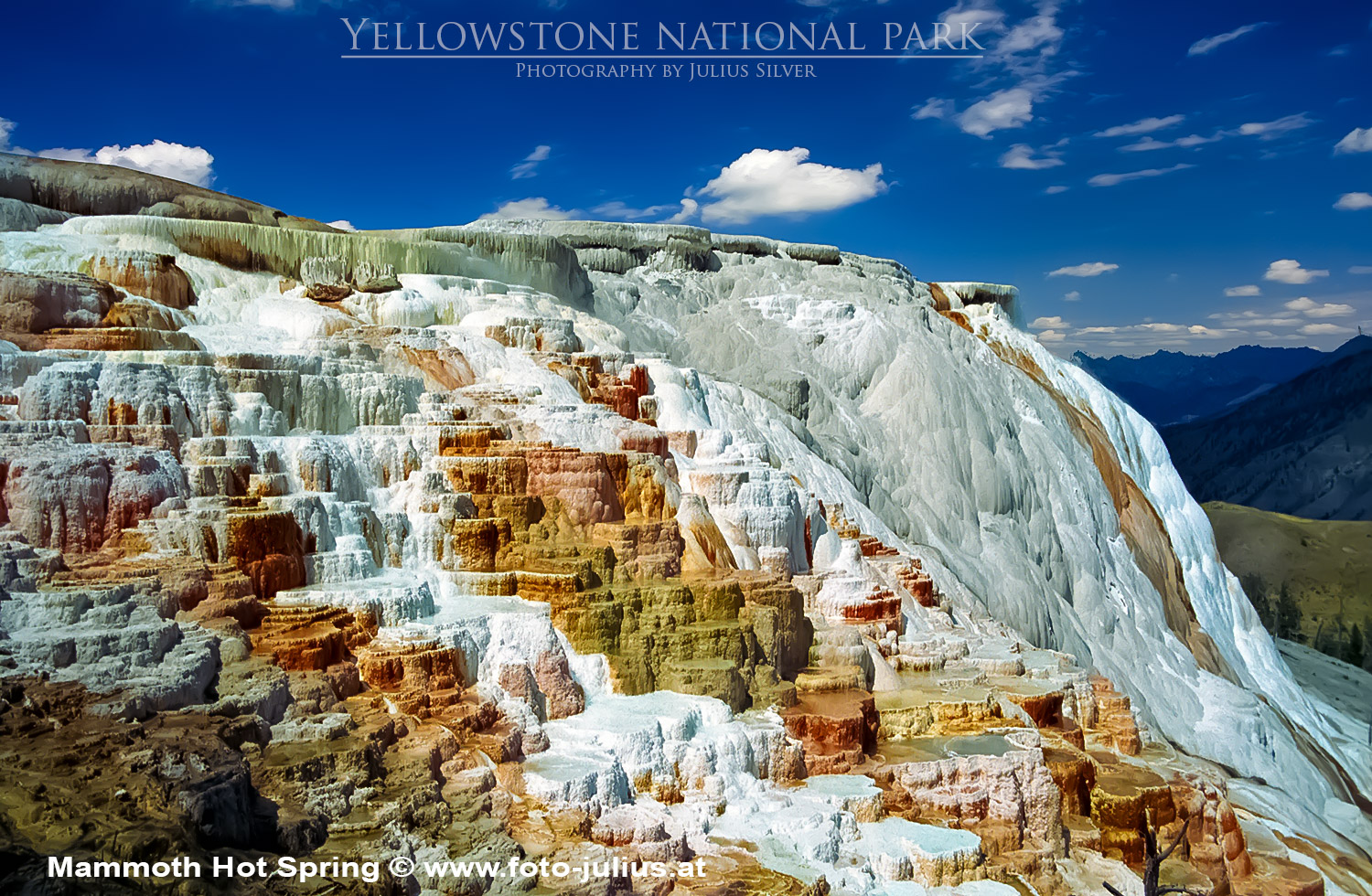 y125a_Mammoth_Hot_Spring_Yellowstone.jpg, 594kB