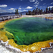 Yellowstone National Park, West Thumb Basin, Yellowstone Lake, Photo Nr.: y137