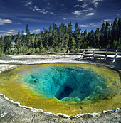 Yellowstone National Park, Morning Glory Pool, Photo Nr.: y139