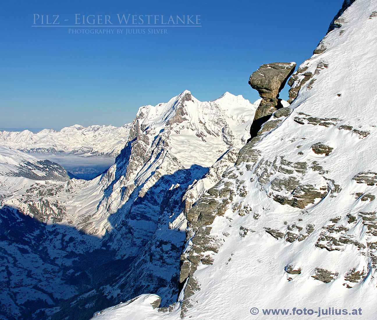 0965a_Pilz_Eiger_Westflanke-.jpg, 595kB