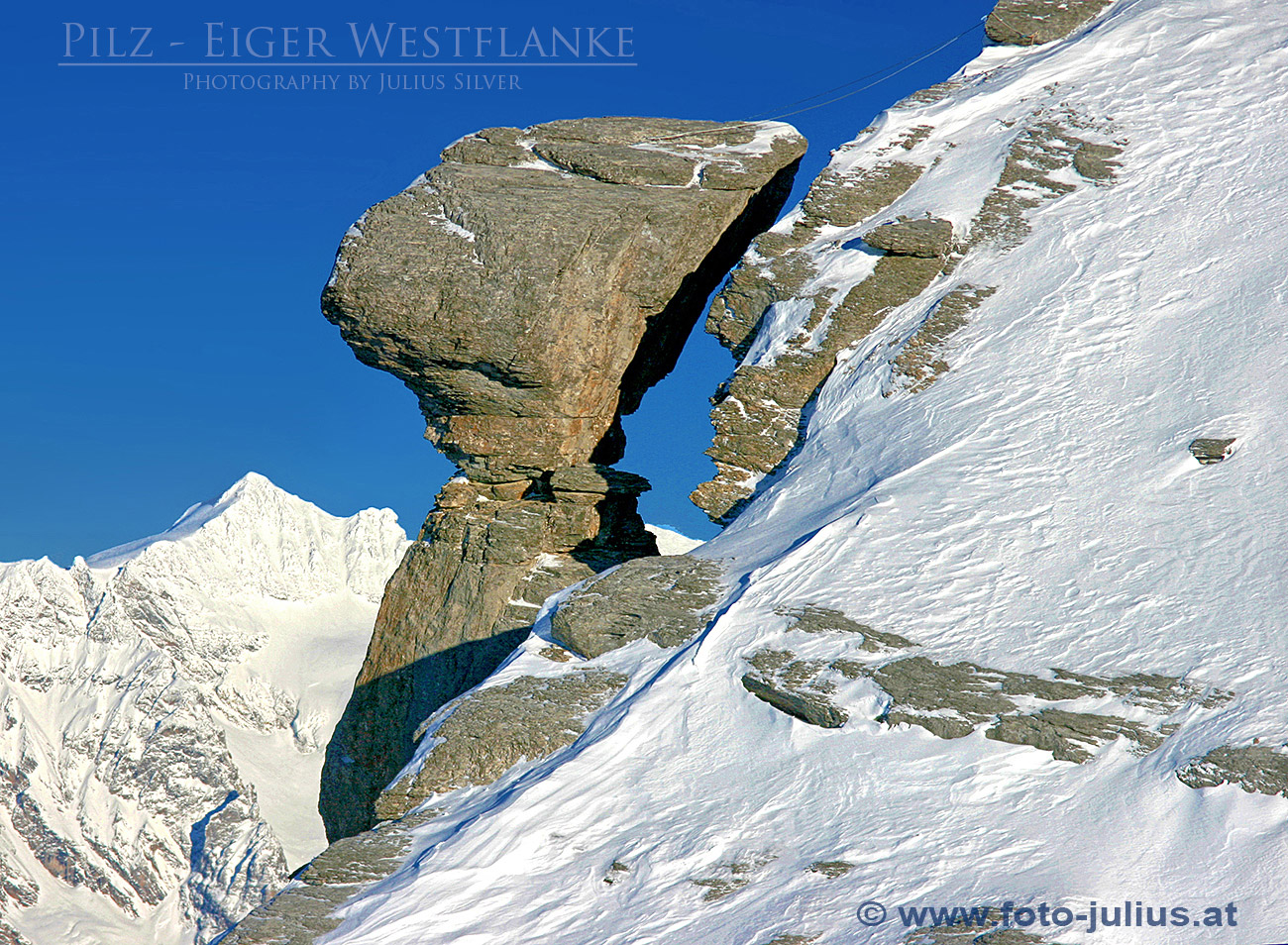 0966a_Pilz_Eiger_Westflanke0966.jpg, 568kB