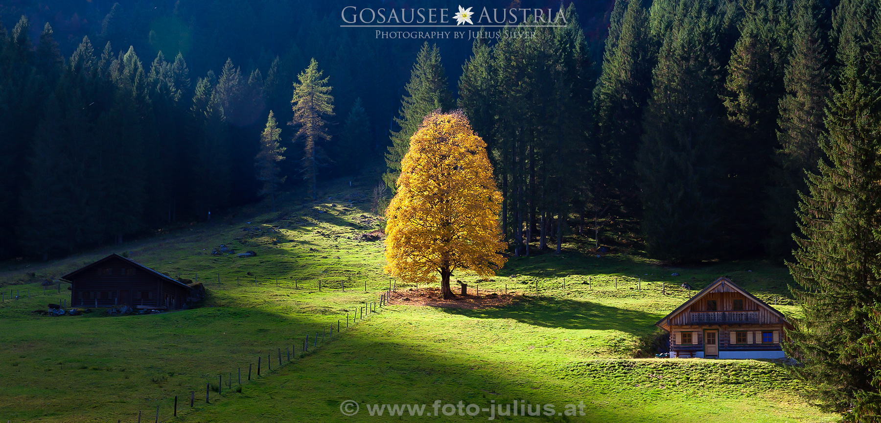 1896a_Gosausee.jpg, 894kB