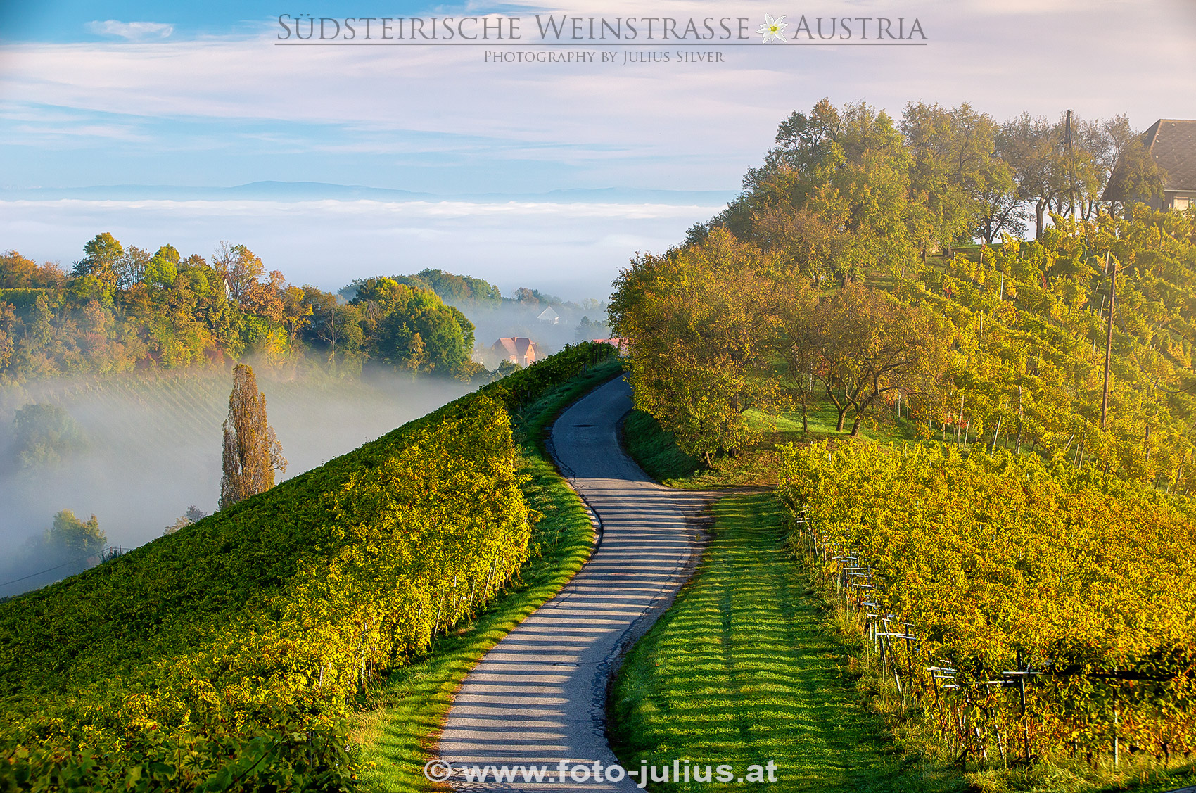2273a_Sudsteirische_Weinstrasse.jpg, 1,2MB