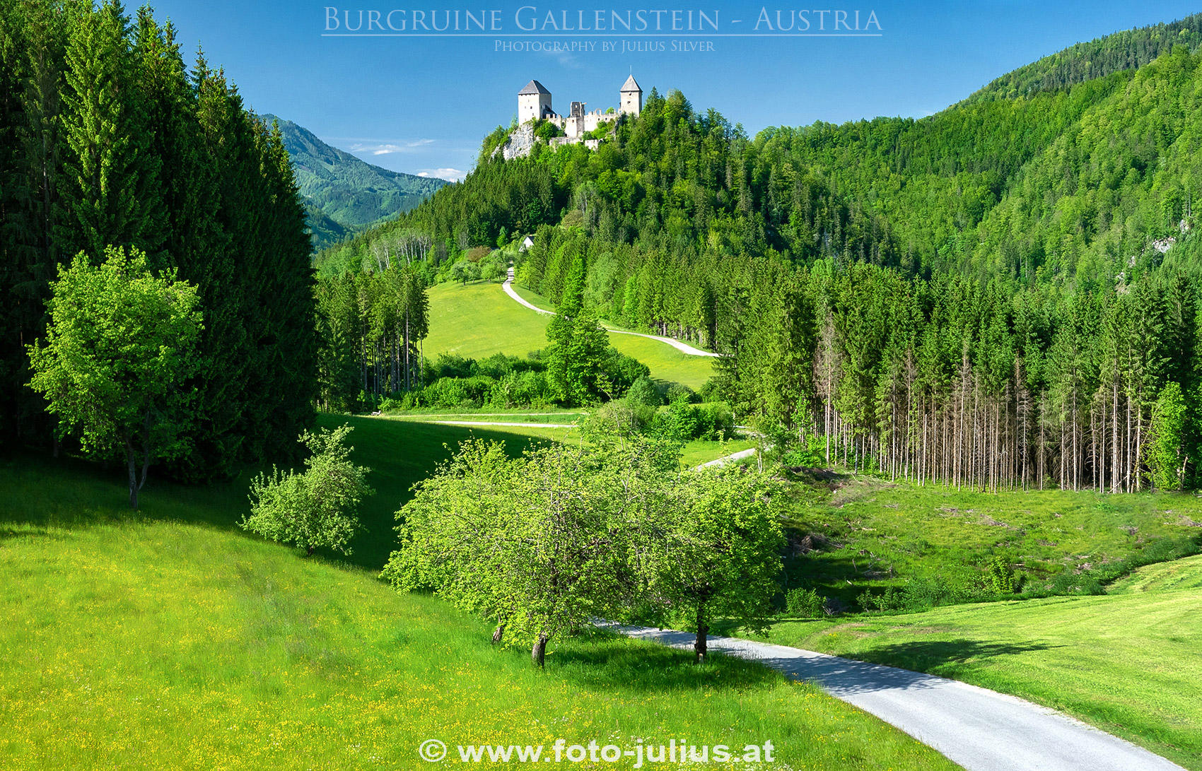 2665a_Steirische_Eisenwurzen_Burgruine_Gallenstein.jpg, 1,1MB