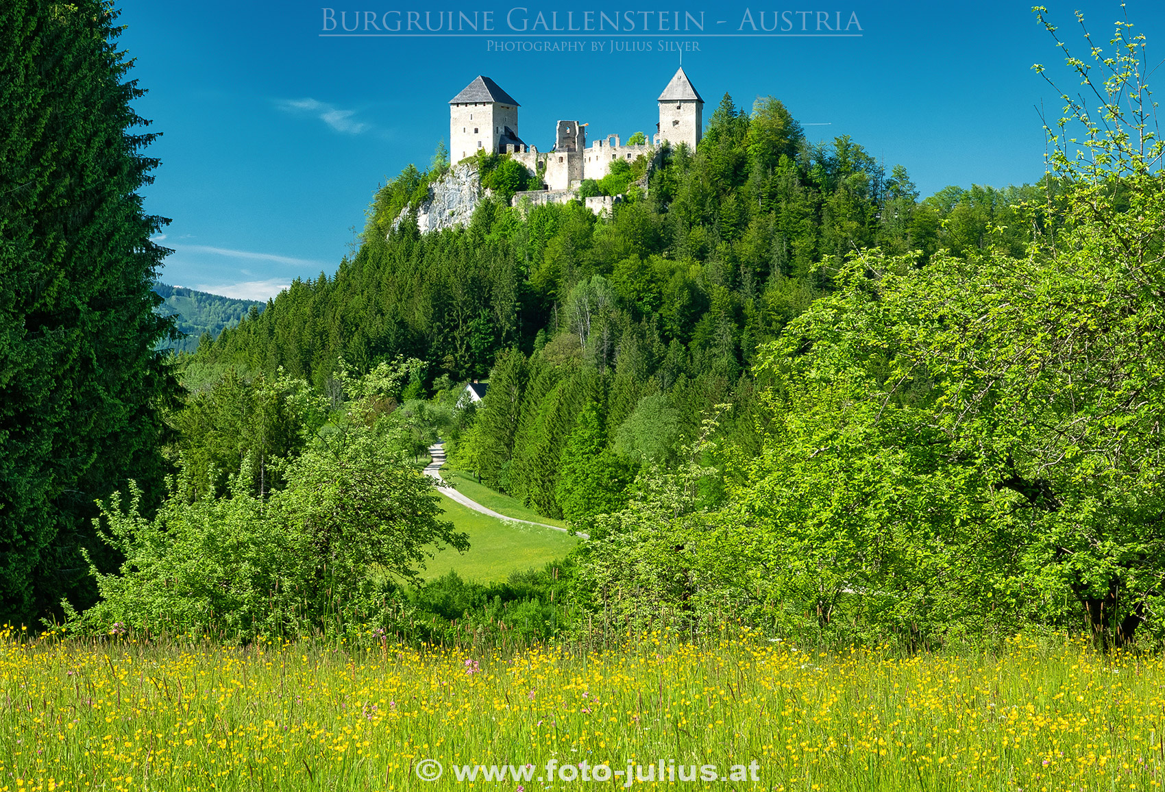2667a_Steirische_Eisenwurzen_Burgruine_Gallenstein.jpg, 1,3MB