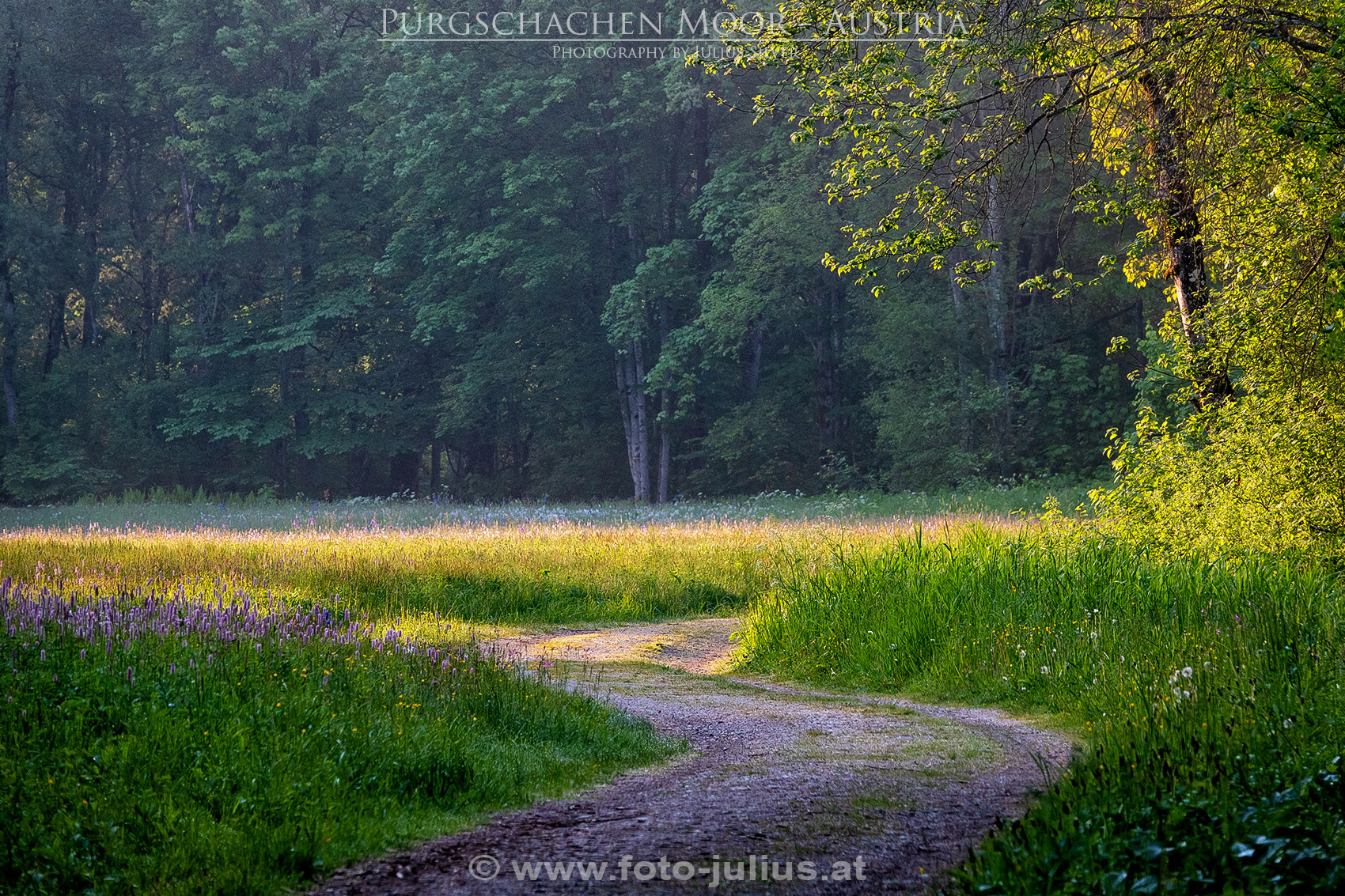 2672a_Gesause_Ardning_Purgschachen_Moor.jpg, 1,1MB