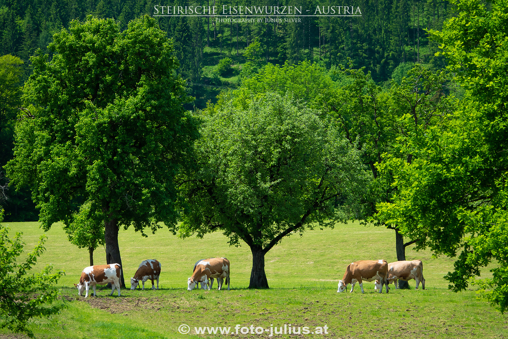 2676a_Steirische_Eisenwurzen.jpg, 1,6MB