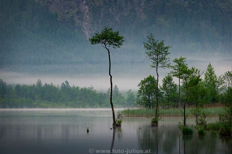 2735b_Almsee_Grunau_Oberosterreich.jpg, 74kB