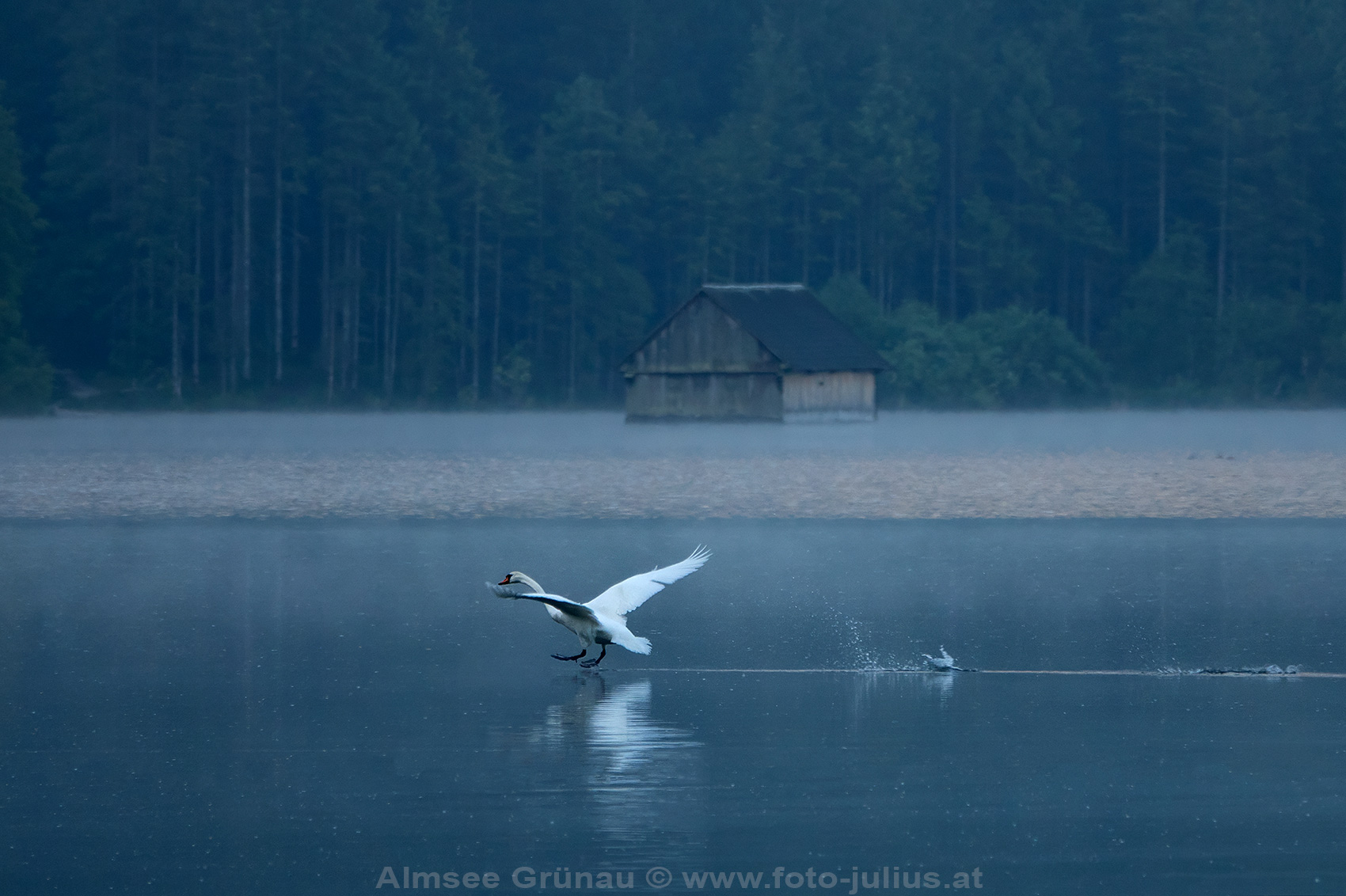 2744a_Almsee_Grunau_Oberosterreich.jpg, 456kB