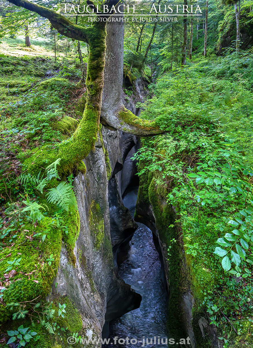 2850a_Tauglbach_Klamm.jpg, 1,1MB