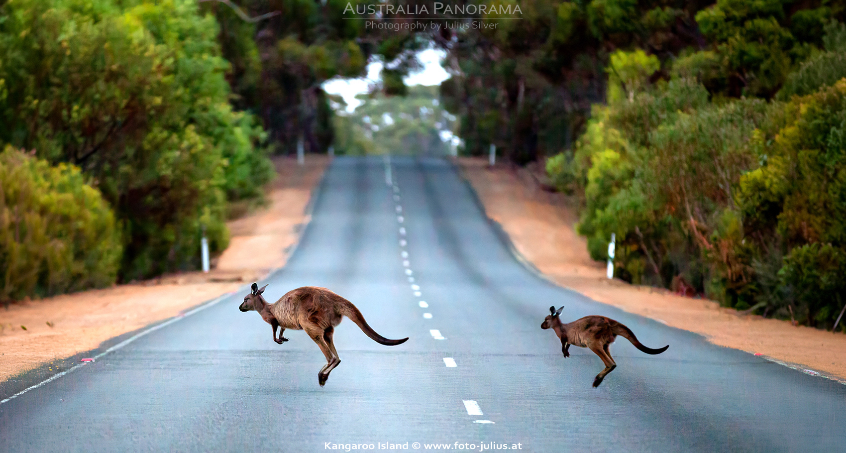 Australia_135a_Kangaroo_Island.jpg, 783kB