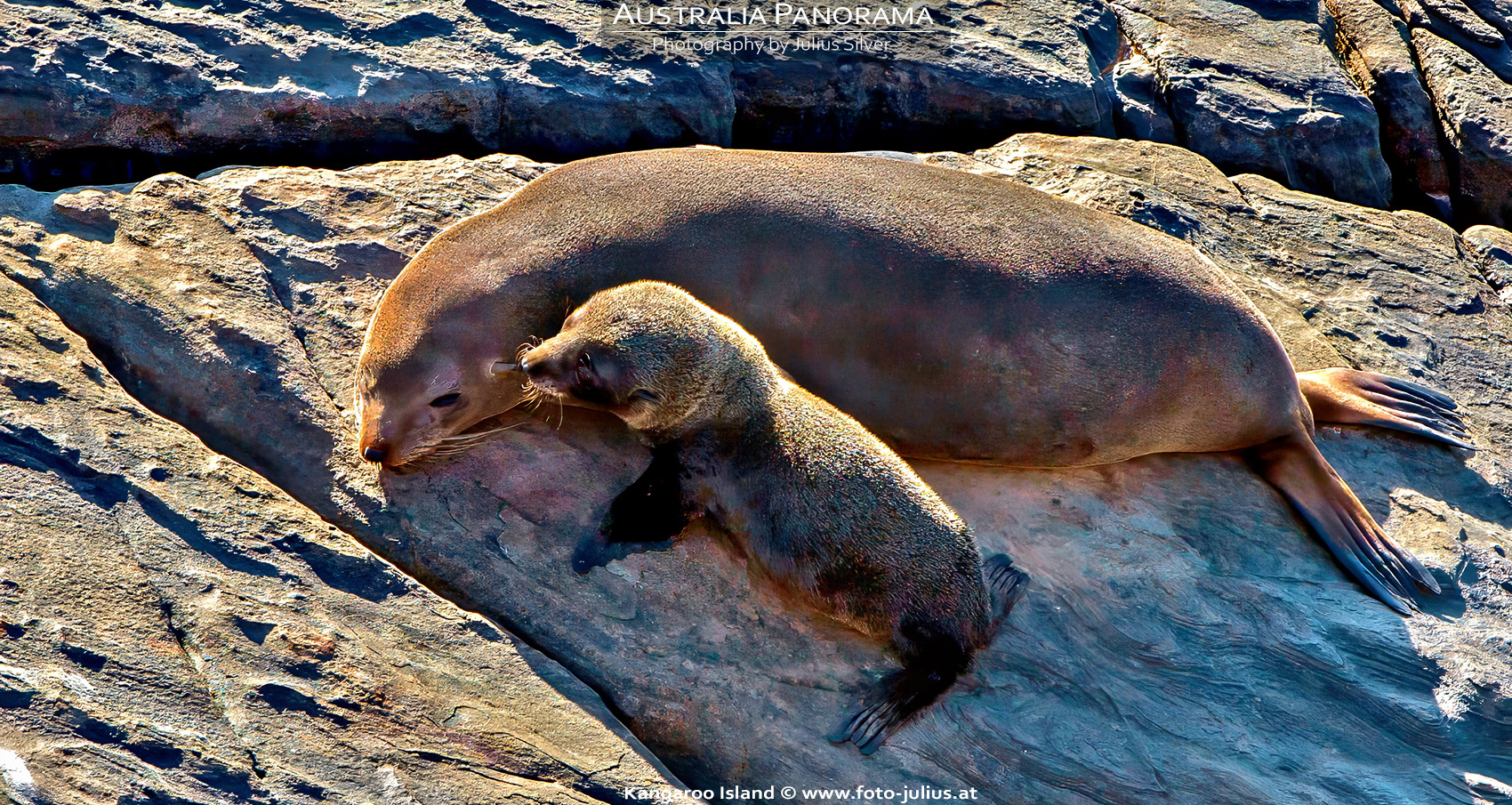Australia_142a_Kangaroo_Island.jpg, 1,2MB