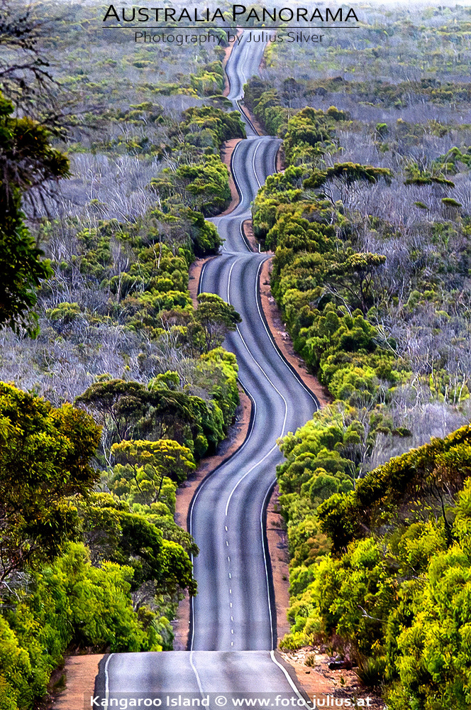 Australia_146a_Kangaroo_Island.jpg, 739kB