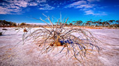 Australia_184.jpg, 12kB