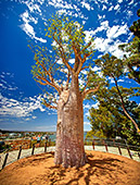Australia_207.jpg, 22kB