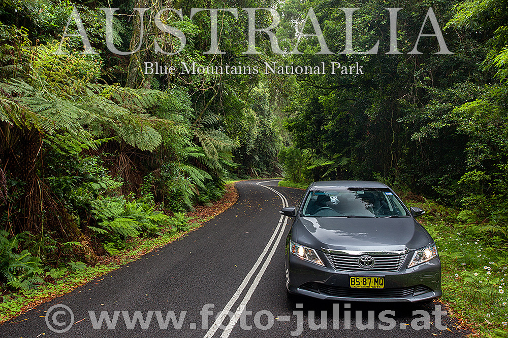 Australia_234+Blue_Mountains_National_Park.jpg, 649kB