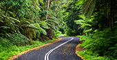 Australia_241.jpg, 12kB