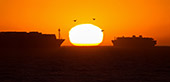 Australia_273.jpg, 3,9kB