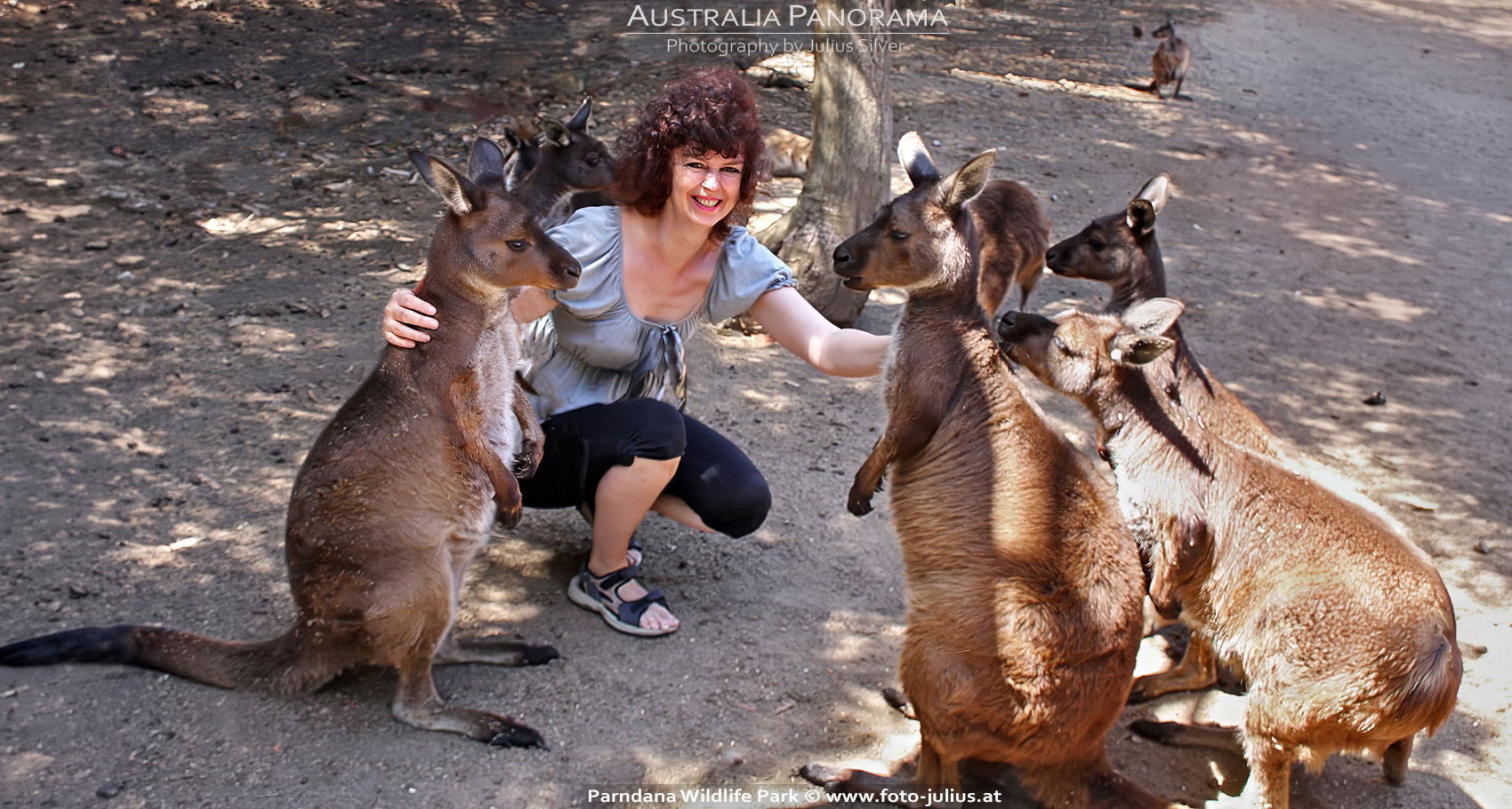 Australia_284a_Parndana_Wildlife_Park.jpg, 682kB