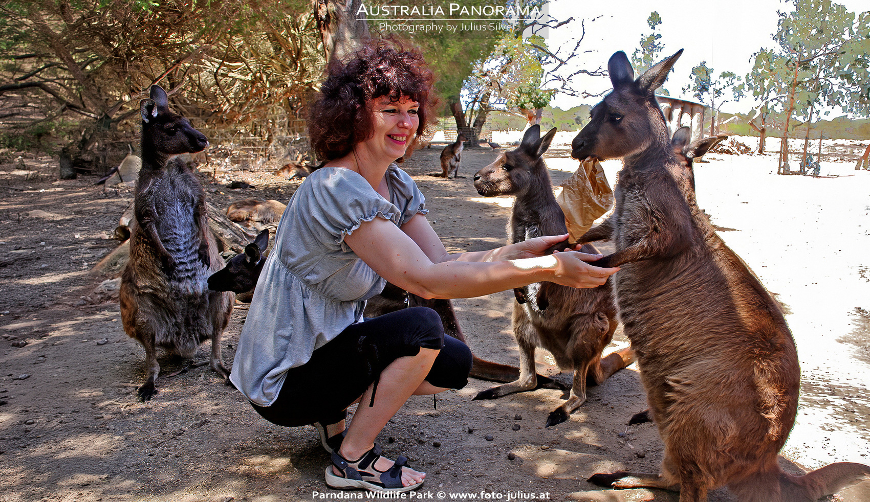 Australia_328a_Parndana_Wildlife_Park.jpg, 1,1MB