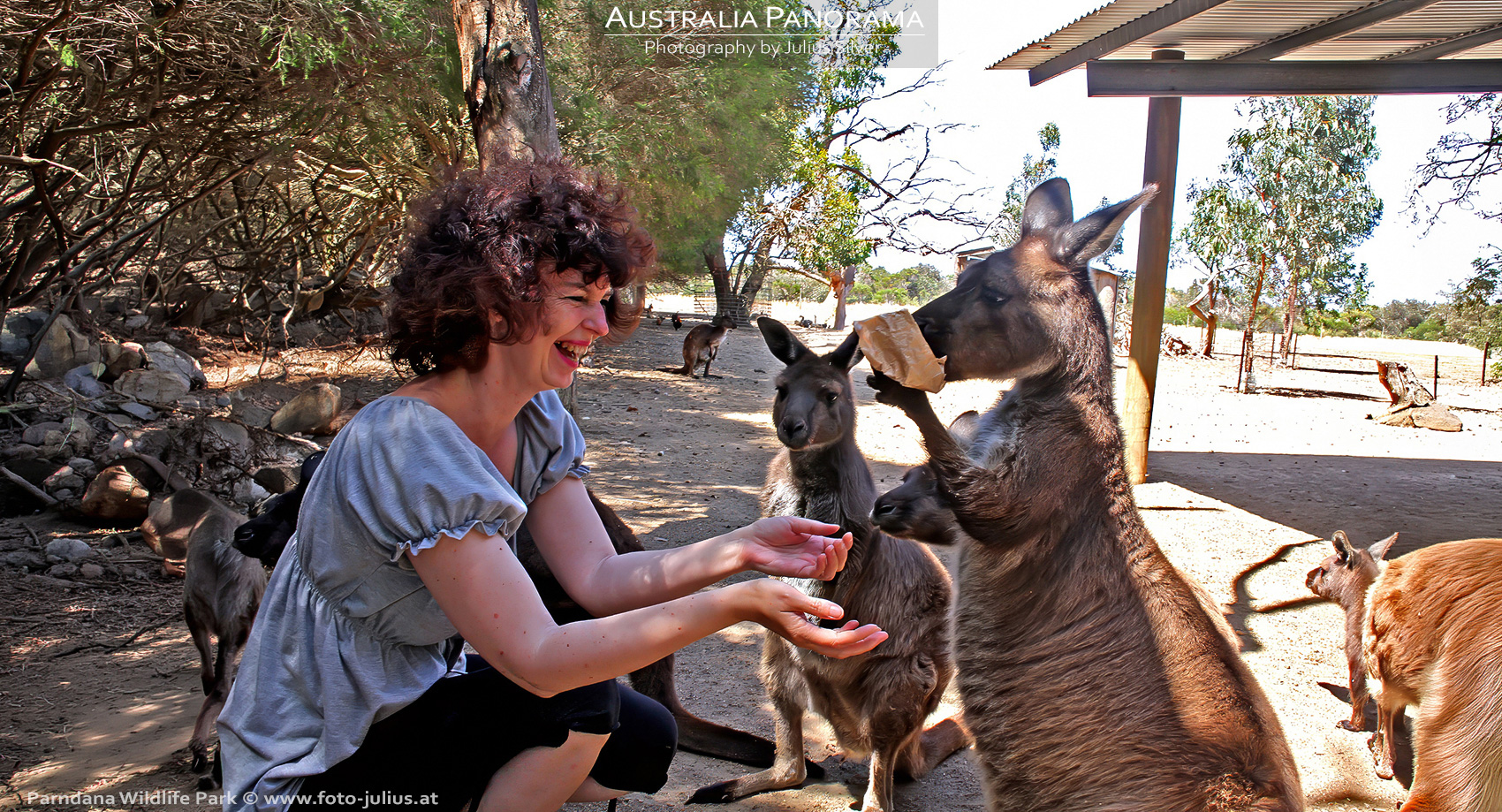 Australia_329a_Parndana_Wildlife_Park.jpg, 1,0MB