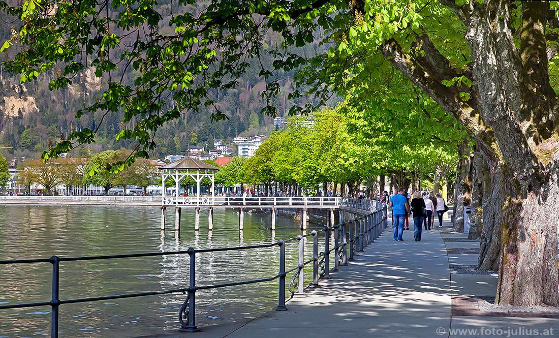 bregenz056b_Bregenz_Seepromenade.jpg, 237kB