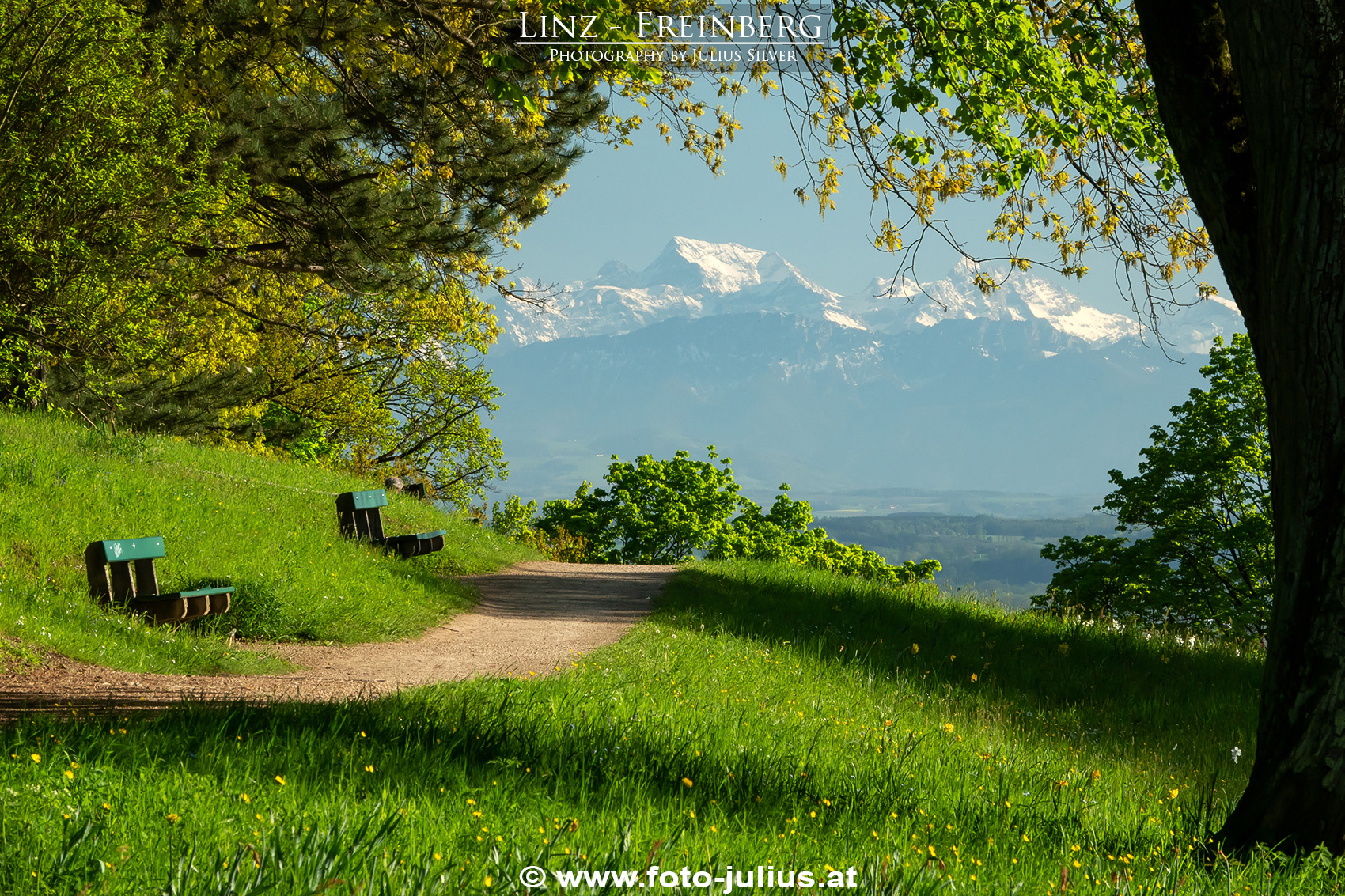 Linz_285a_Freinberg.jpg, 1,4MB