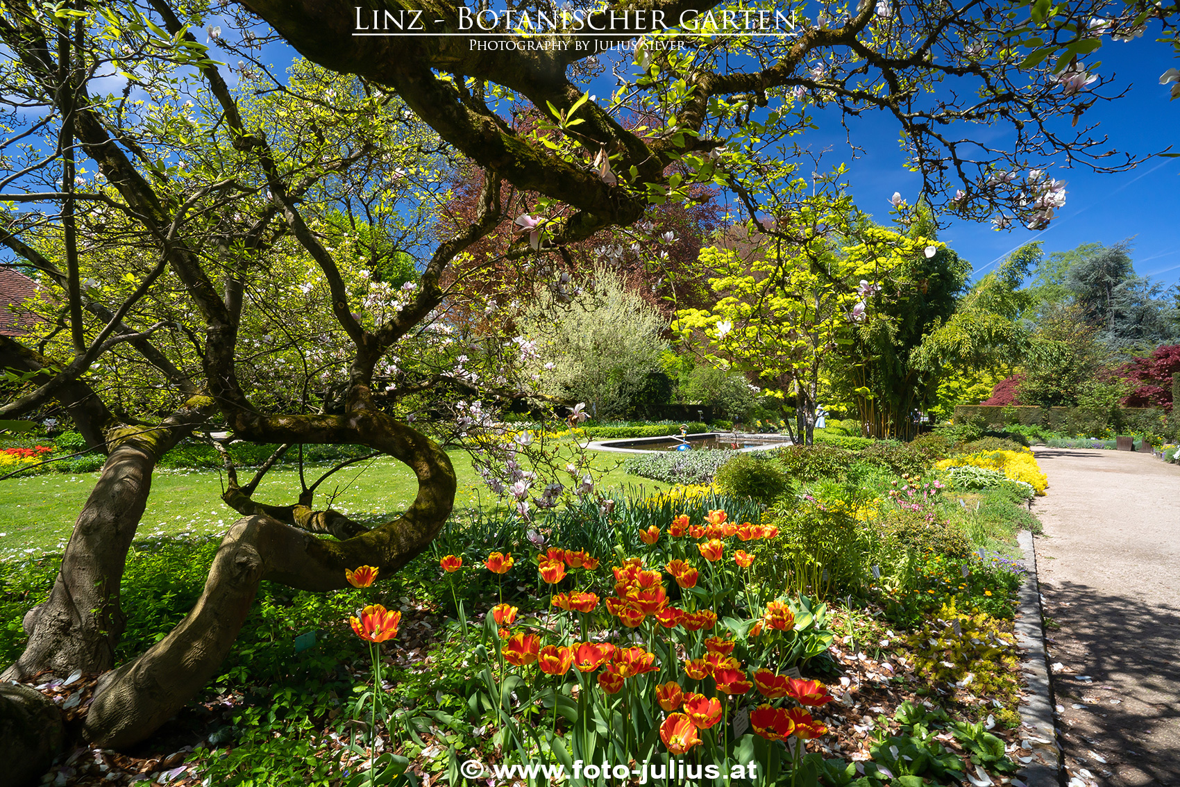 Linz_287a_Botanischer_Garten.jpg, 1,8MB