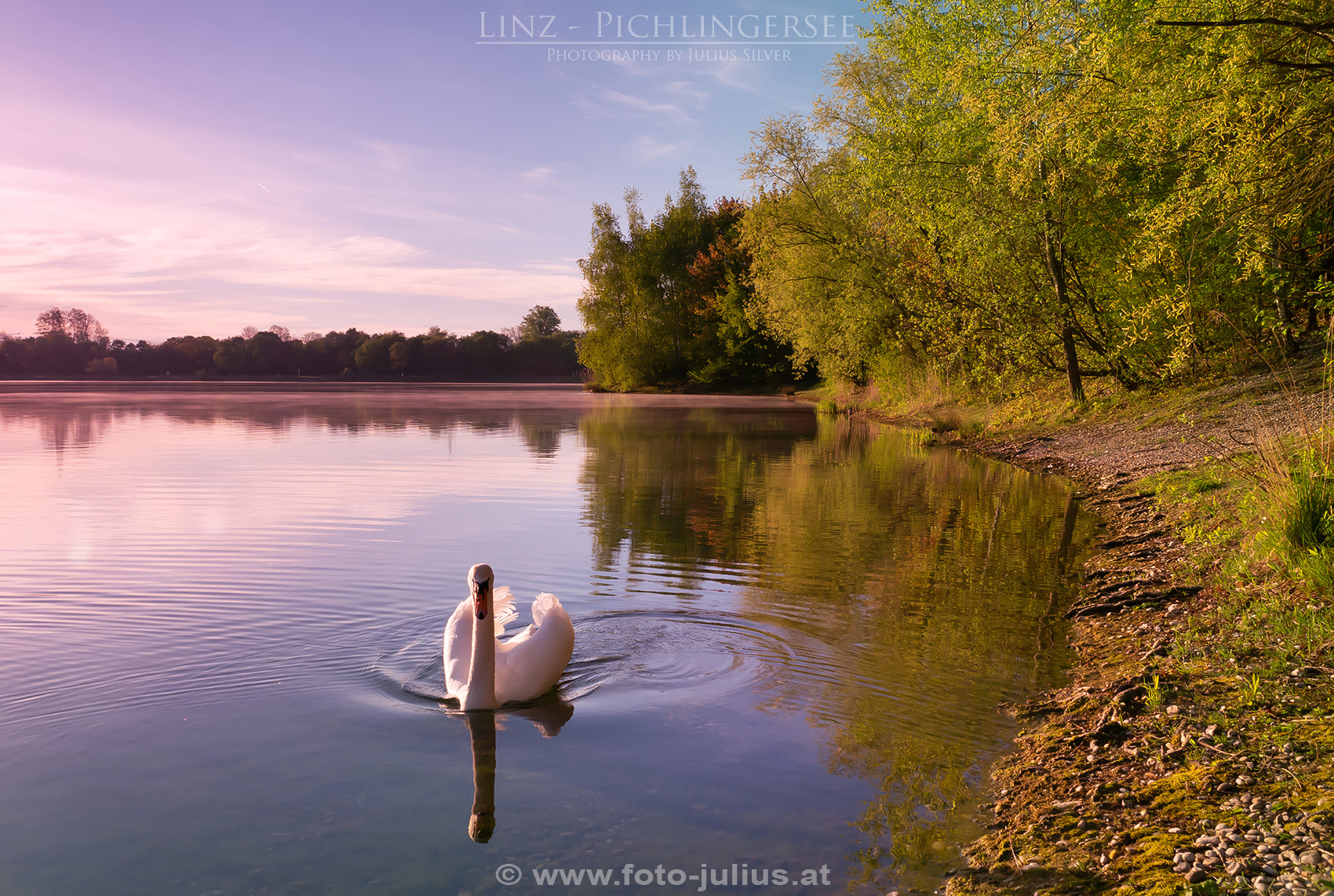 Linz_307a_Pichlingersee.jpg, 1,1MB