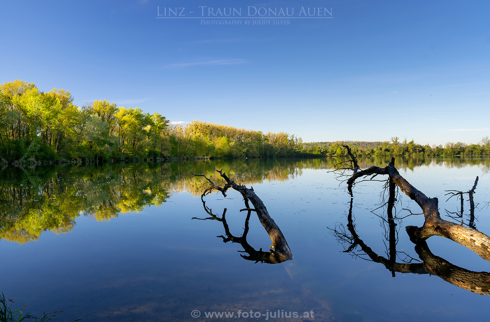 Linz_315a_Traun_Donau_Auen.jpg, 669kB