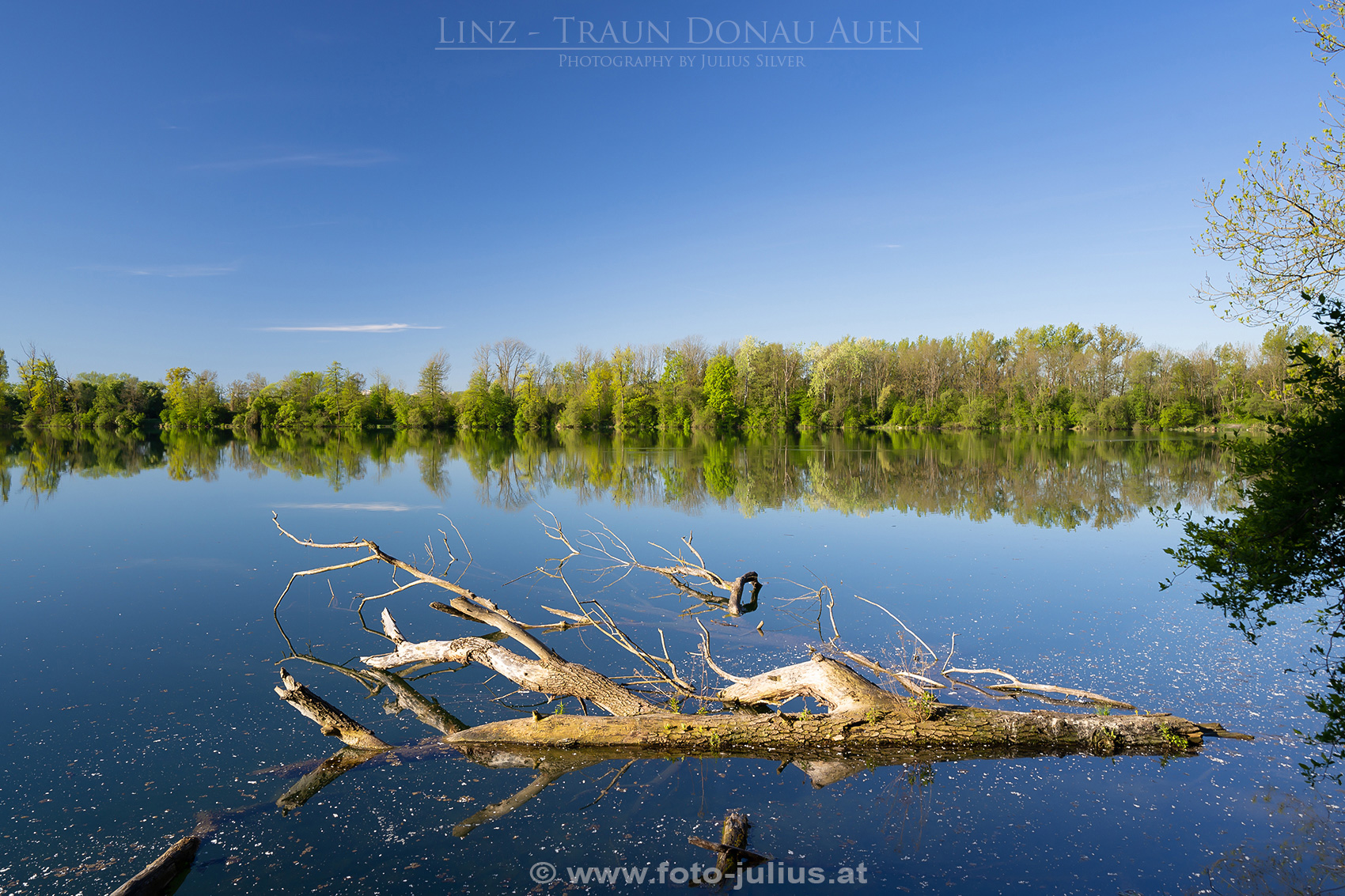 Linz_317a_Traun_Donau_Auen.jpg, 866kB