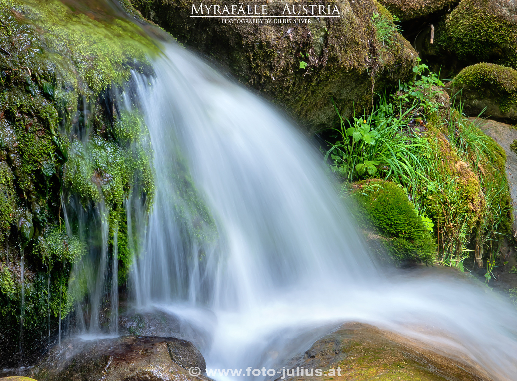 Myrafalle_003a.jpg, 1,2MB