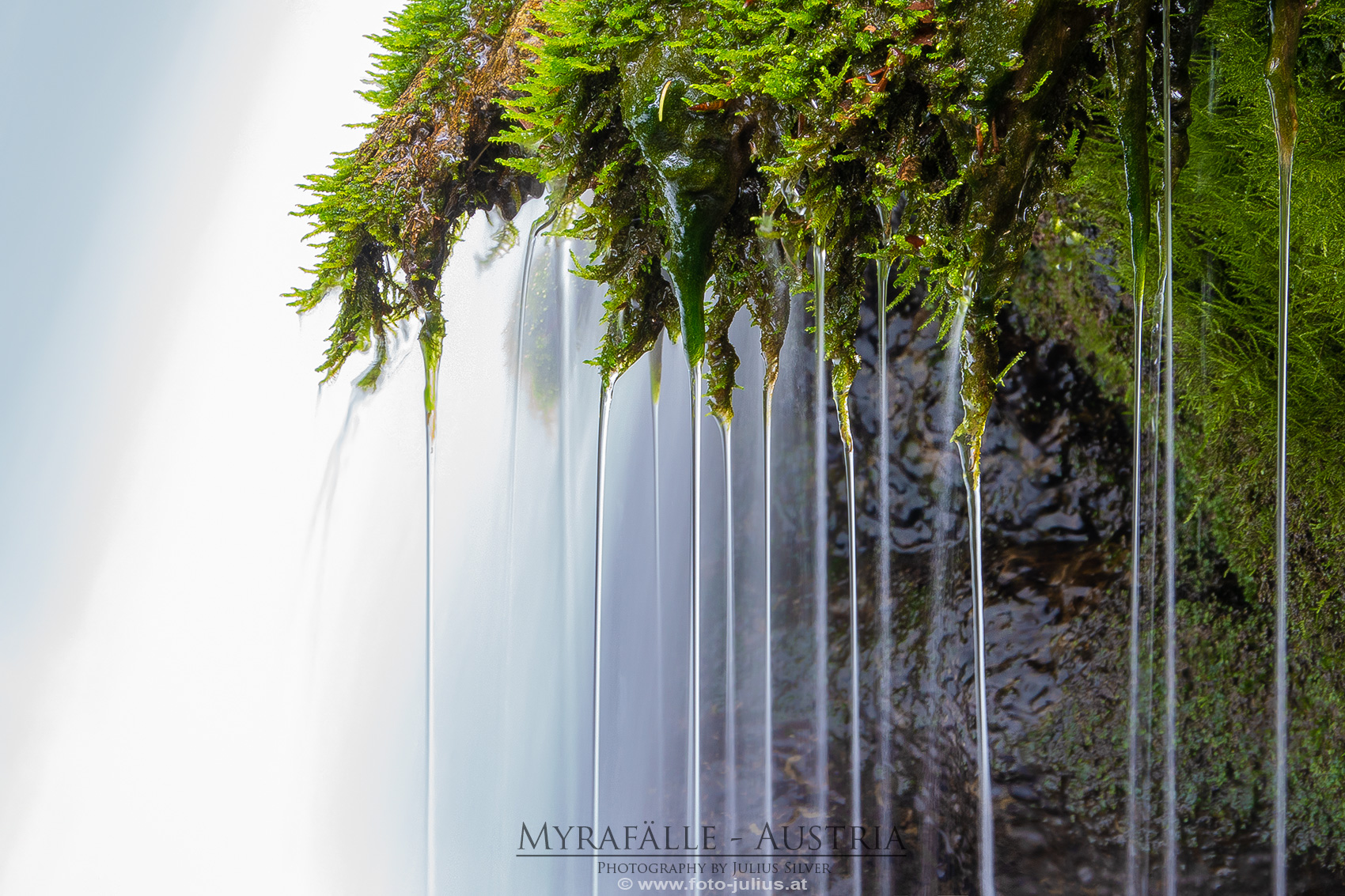 Myrafalle_005a.jpg, 871kB