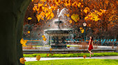W_7762pano_Volksgarten_Wien.jpg, 12kB
