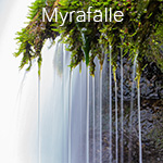 Myrafalle.jpg, 17kB