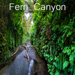 ferncanyon.jpg, 49kB