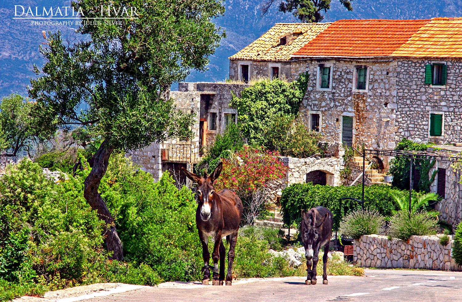 croatia361a_Hvar.jpg, 1,1MB