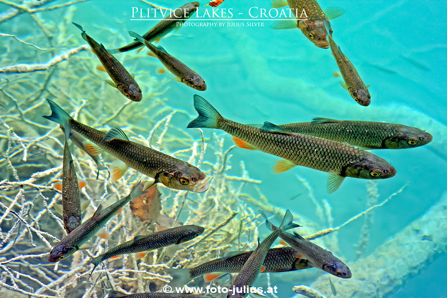 664a_Plitvice_Lakes_Plitvitcer-Seen.jpg, 686kB