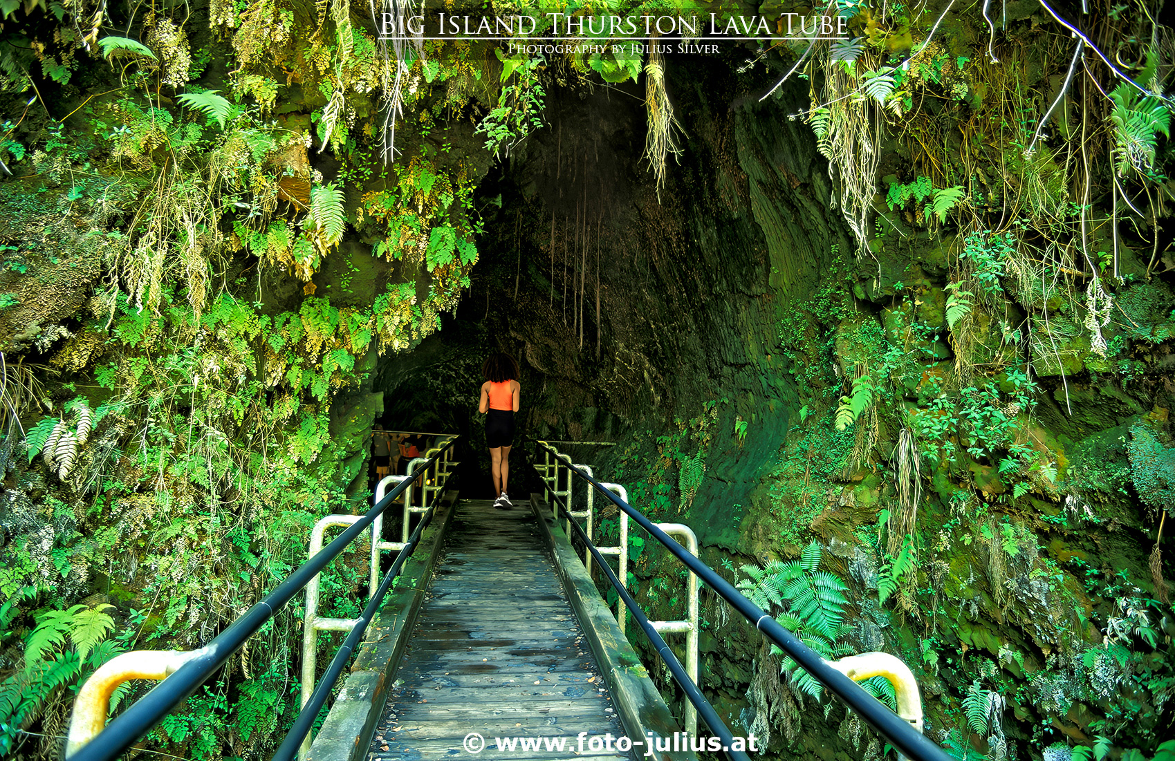 haw126a_Big_Island_Thurston_Lava_Tube.jpg, 1,8MB
