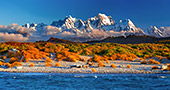 New_Zealand_329_Westland_National_Park.jpg