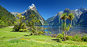New_Zealand_336_Milford_Sound.jpg
