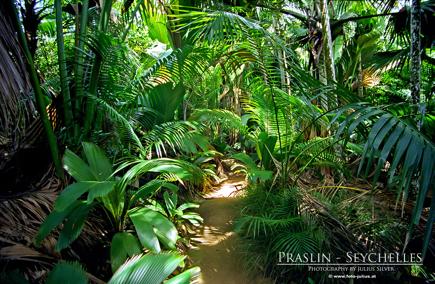0064a_Seychelles_Praslin.jpg, 940kB