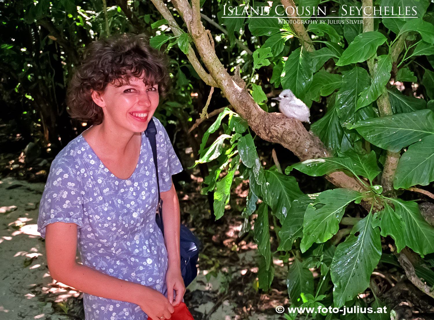 0073a_Seychelles_Island_Cousin.jpg, 602kB
