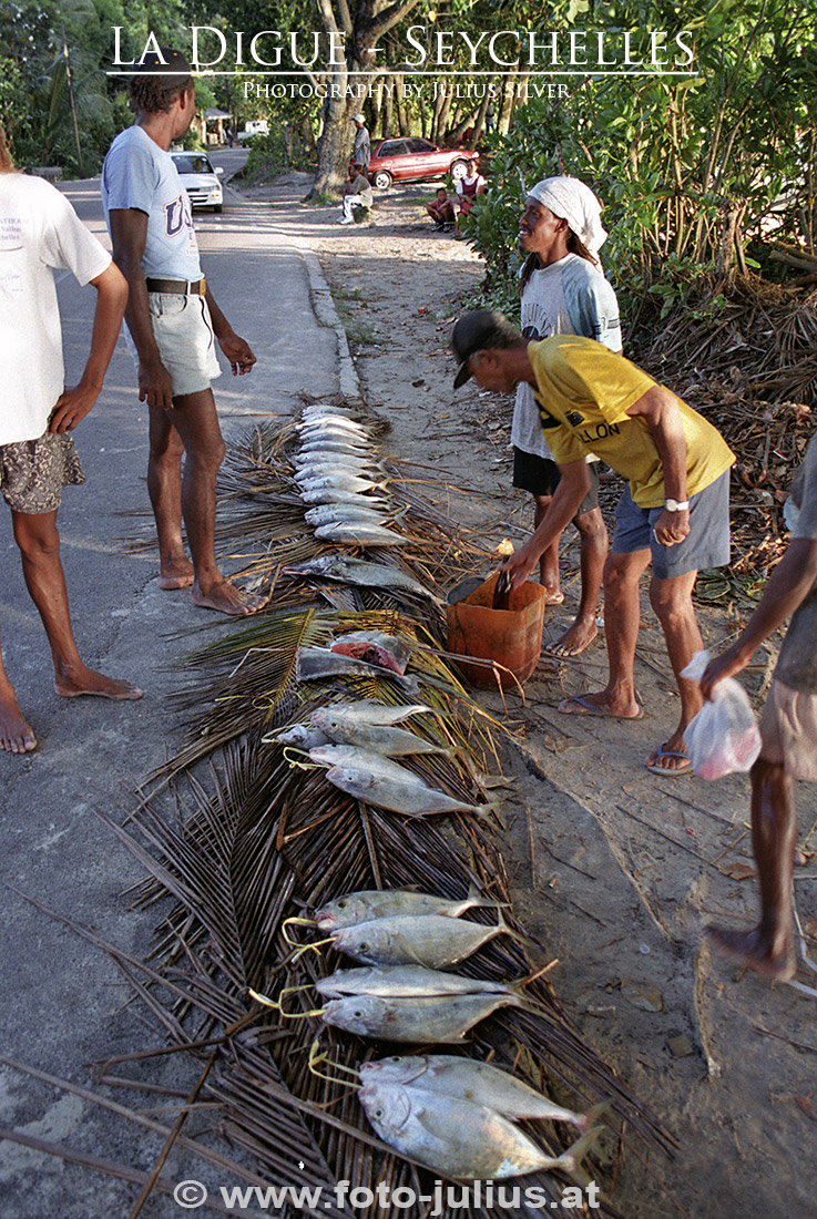 0124a_Seychelles_La_Digue.jpg, 415kB