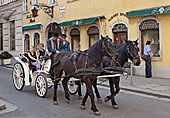 Vienna, Habsburgergasse, Pfertekutsche, Photo Nr.: W5616