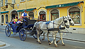 Vienna, Habsburgergasse, Pfertekutsche, Photo Nr.: W5617