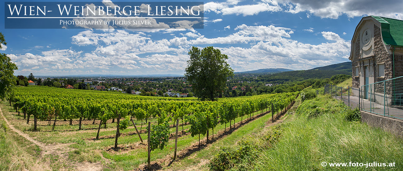 W6634a_Weinberge_Liesing_Wien.jpg, 336kB