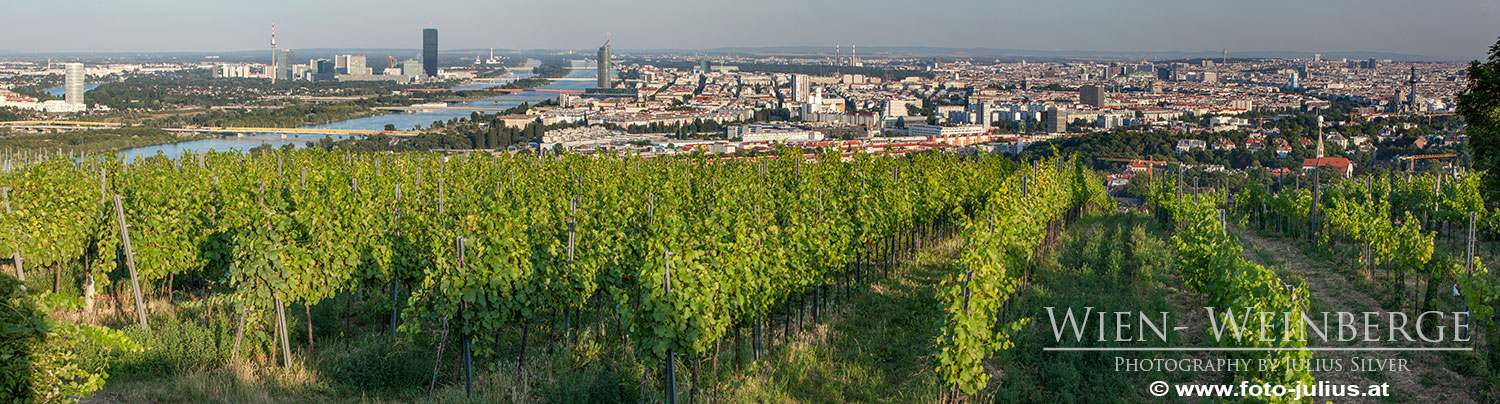 W6663a_Weinberge_Panorama_Wien.jpg, 298kB