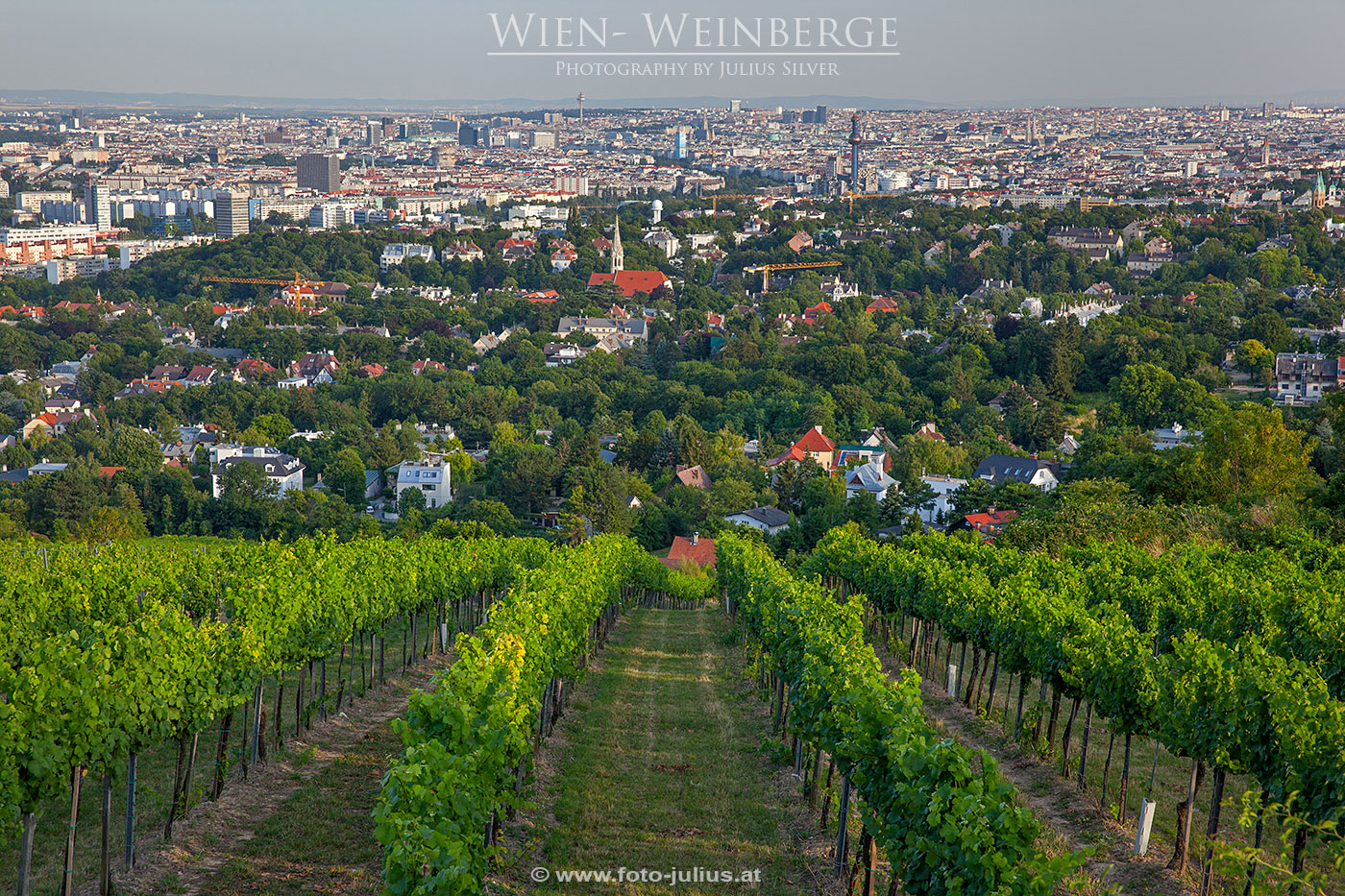 W6665a_Weinberge_Wien.jpg, 639kB